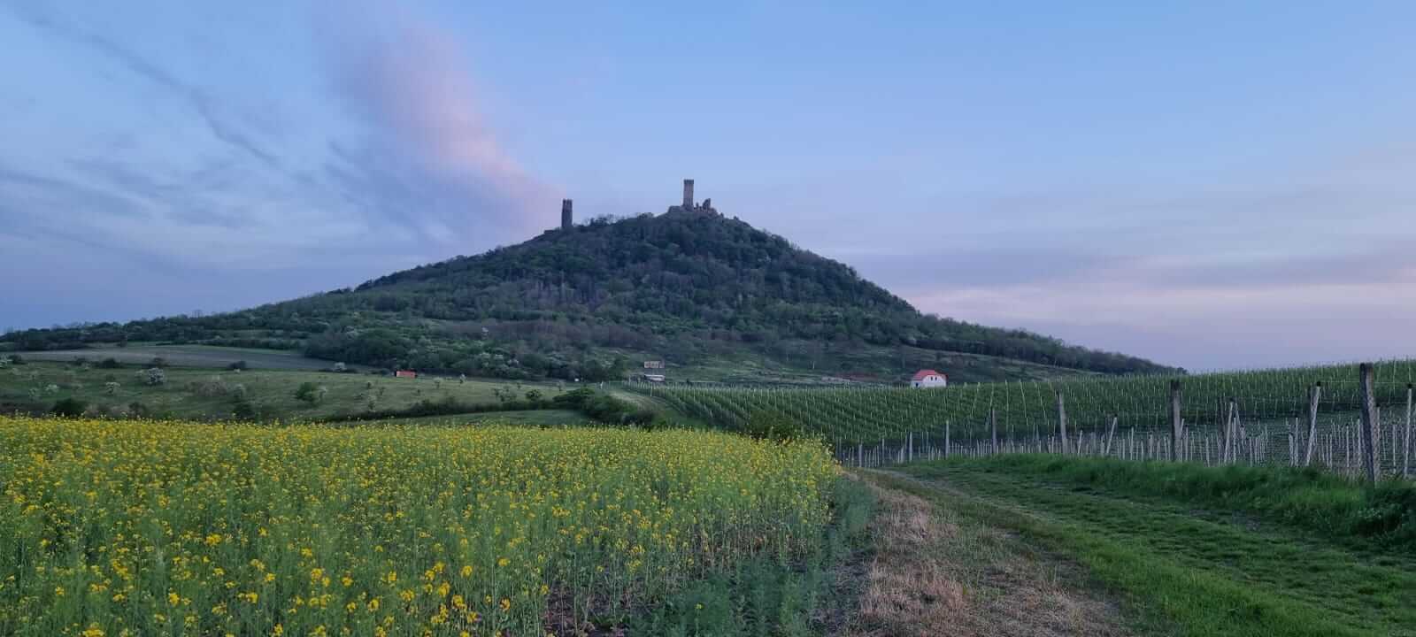 Glamping in nature, Dvorec Černiv